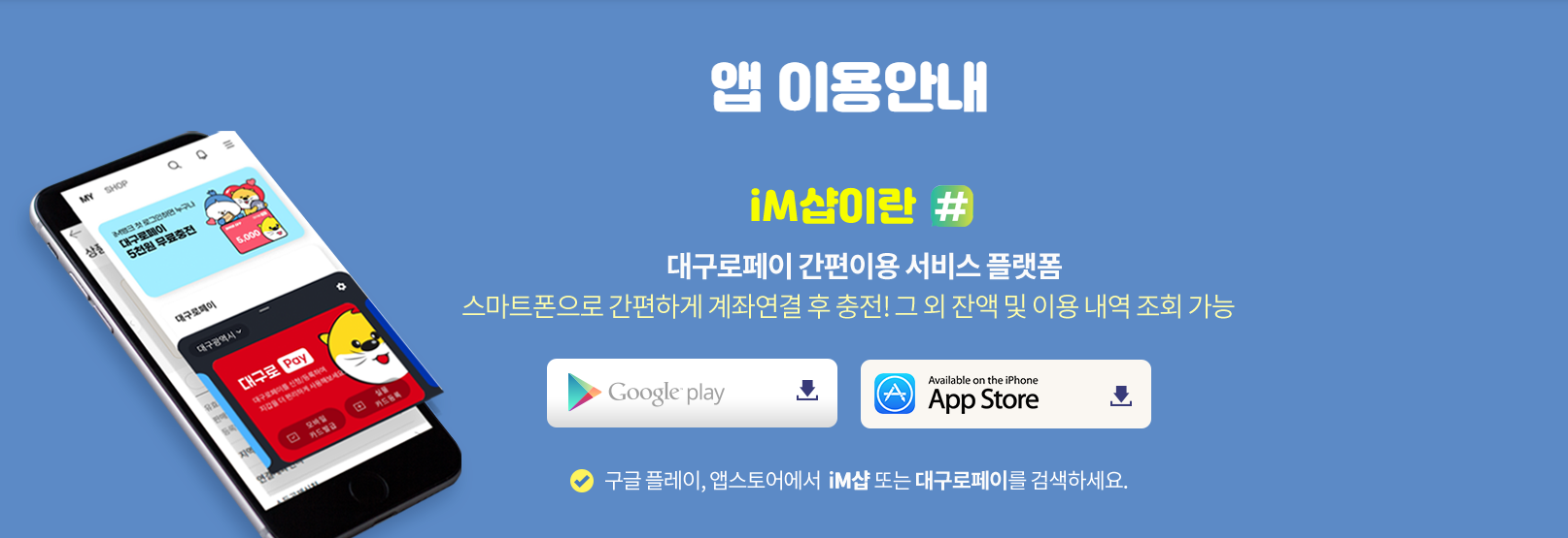 대구로페이 잔액조회