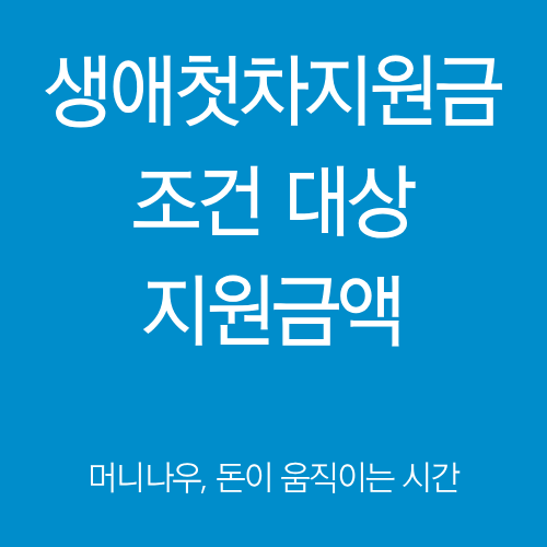 생애첫차지원금