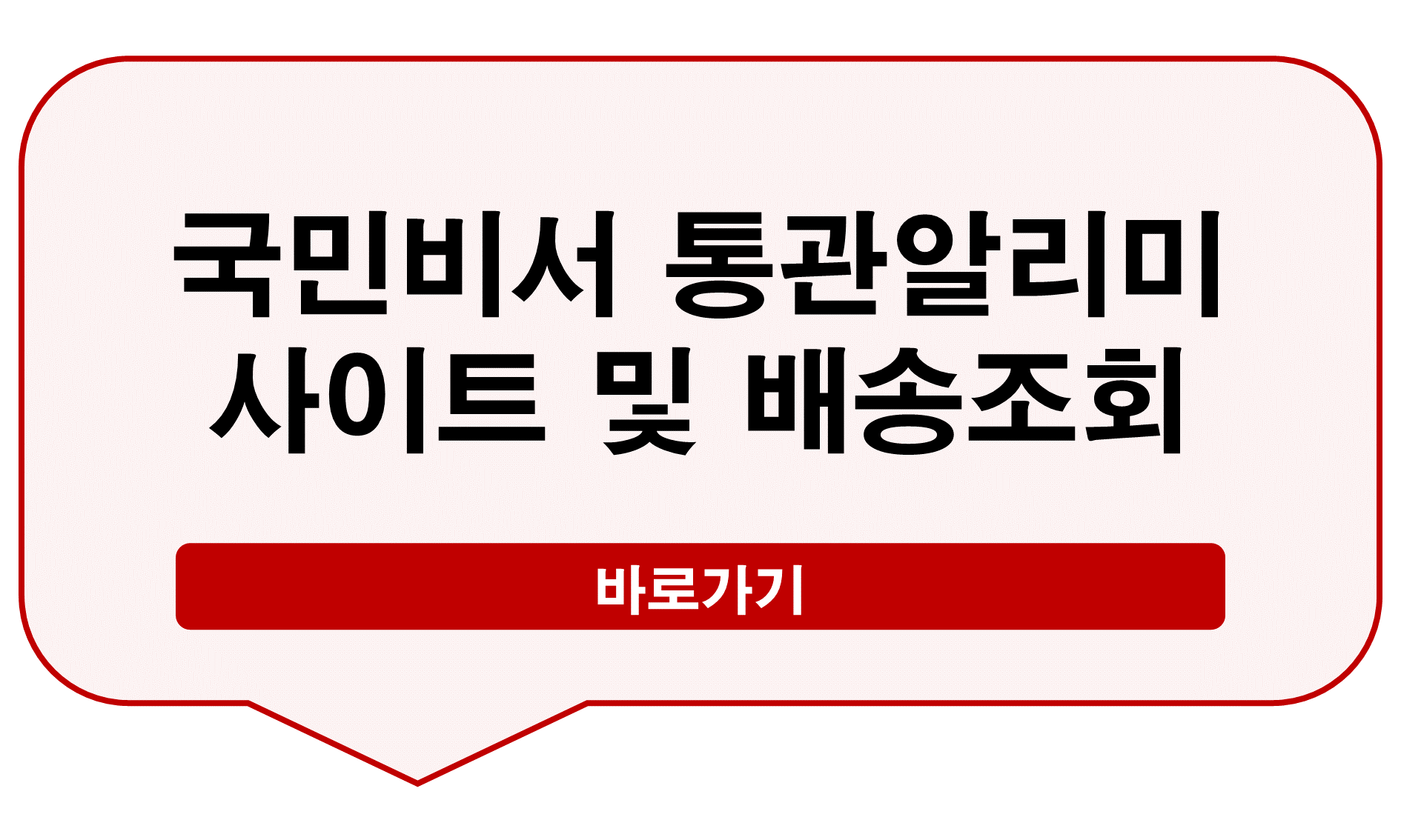 국민비서 통관알리미