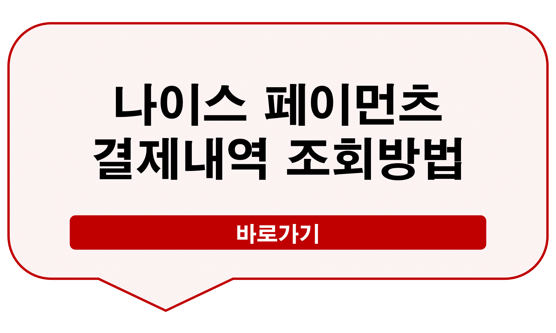 나이스 페이먼츠 결제내역