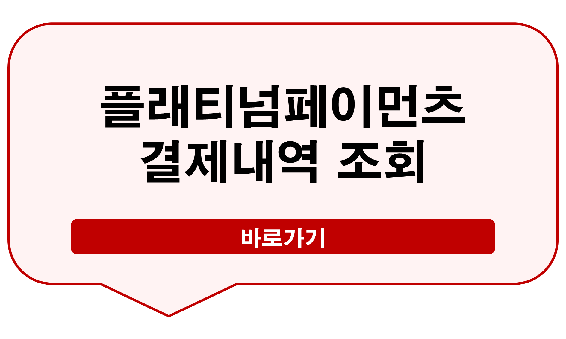 플래티넘페이먼츠